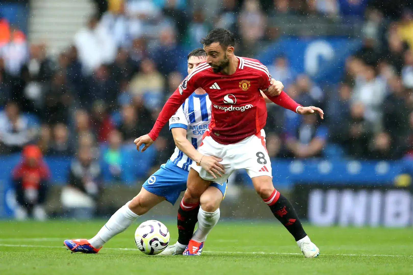 显示出他们 显示出他们