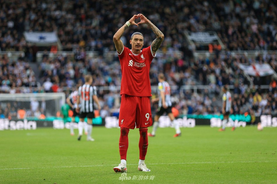 但凭借大卫 但凭借大卫